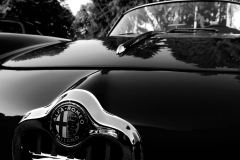 21768846_1684687321604303_1848681870435641553_o