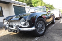 21950833_1684686661604369_6211545049030060607_o