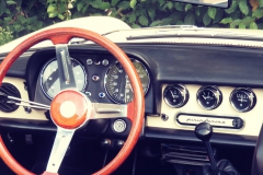 21950968_1684687134937655_632407988272028737_o