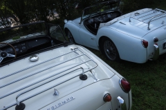 21993121_1684687624937606_7989127382432733186_o